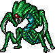 Locusta