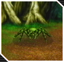 Tarantula