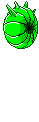 Ammonite