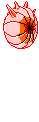 Shellfish