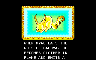 Myau
Transform 1