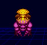 Head Rot