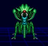 Locusta