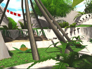 Forest 1