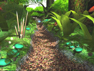 Forest 2